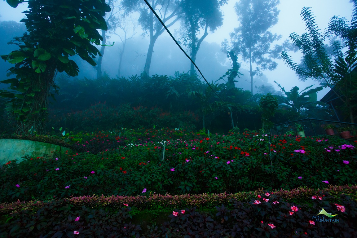 Misty Mountain Resort gallery photo