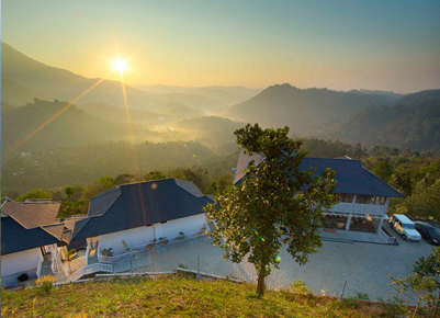 Tea Village gallery photo