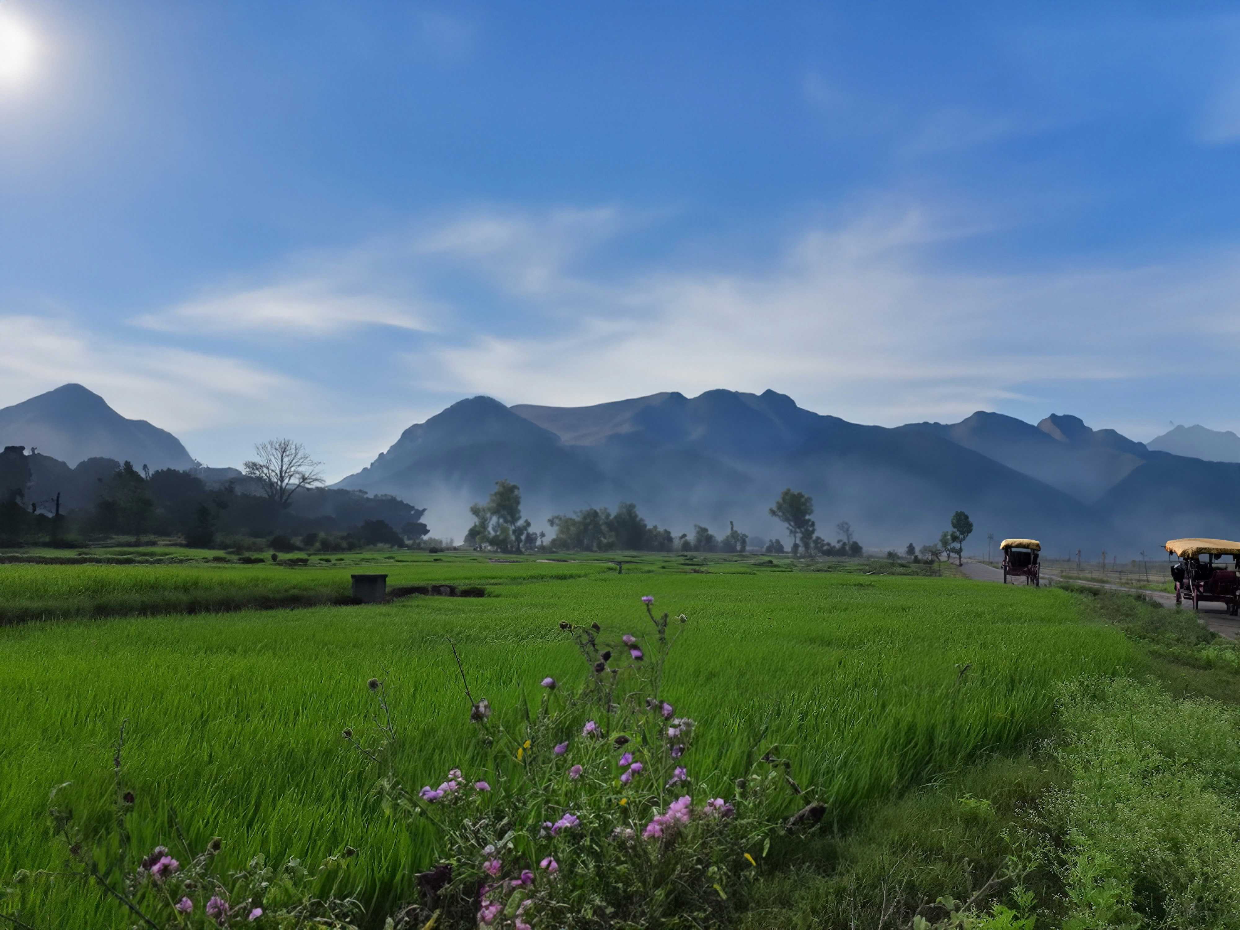 Complete Kerala Explorer