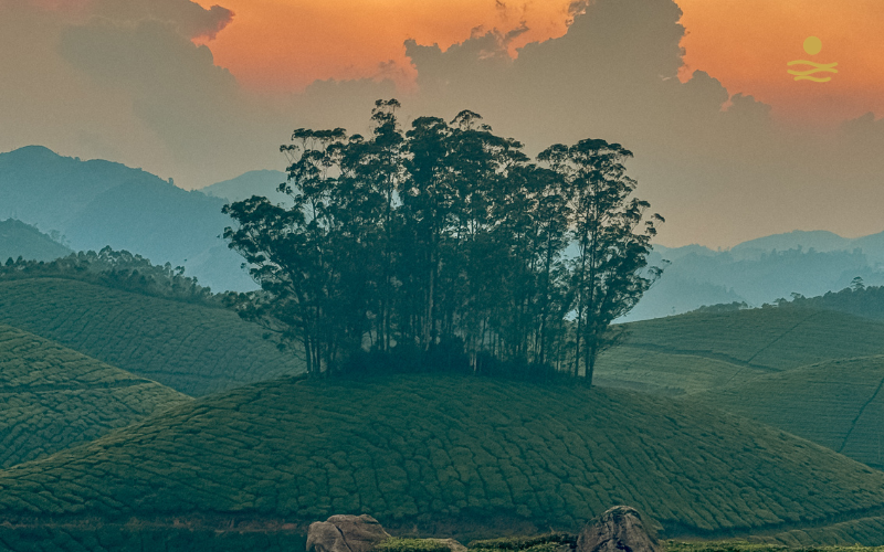 Kerala Glimpse 6N/7D - Deluxe