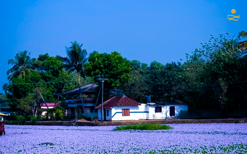Kerala Gateway 5N/6D - Premium