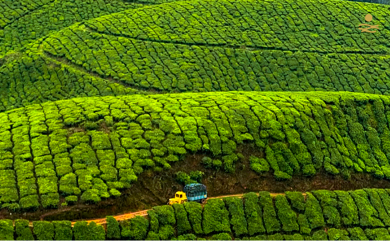 Kerala Glimpse 6N/7D - Luxury